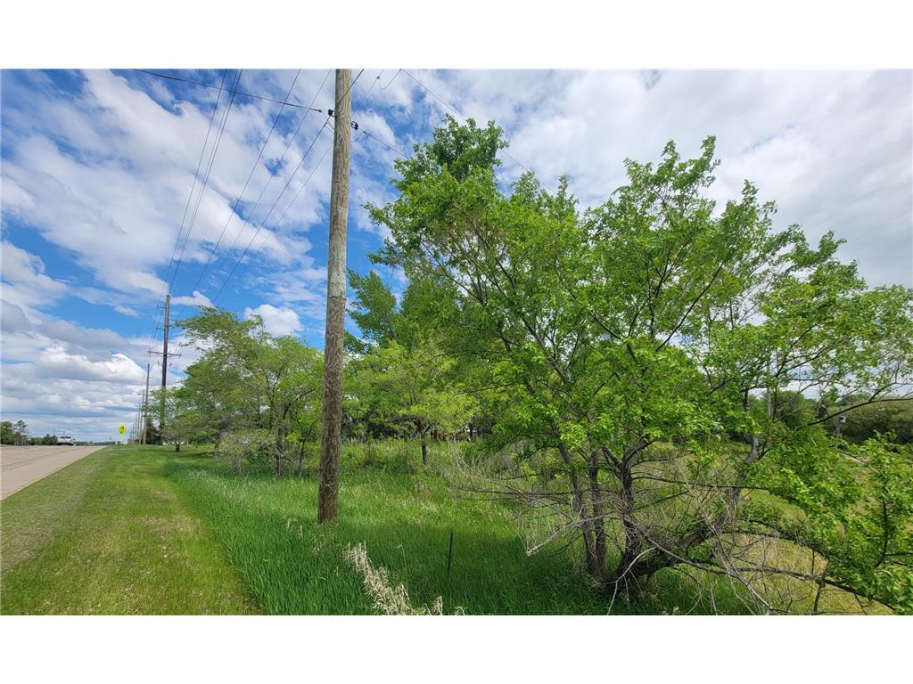 TBD Kolb Street Ogema MN 56569 6727616 image12