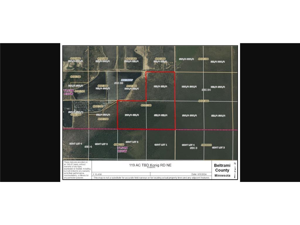 TBD Konig Road NE Waskish MN 56685 6548655 image2