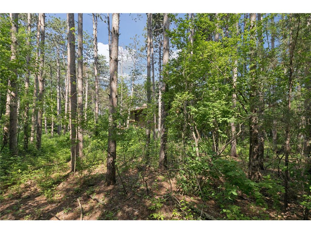 TBD Krattley Lane N North Hudson WI 54016 7081944 image4