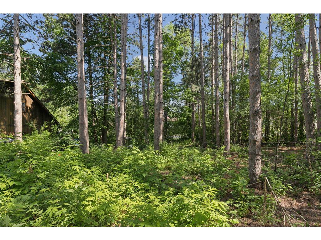TBD Krattley Lane N North Hudson WI 54016 7081944 image5