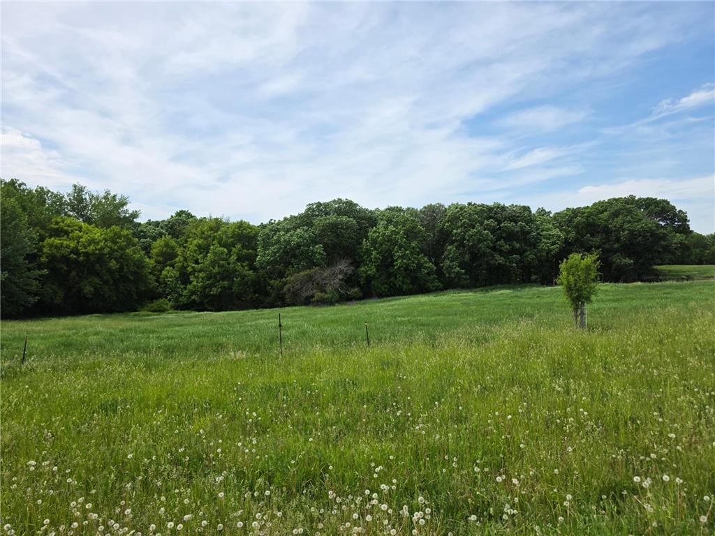 TBD (L1B3) Prairie Crest Court SW Rochester MN 55902 7083425 image5
