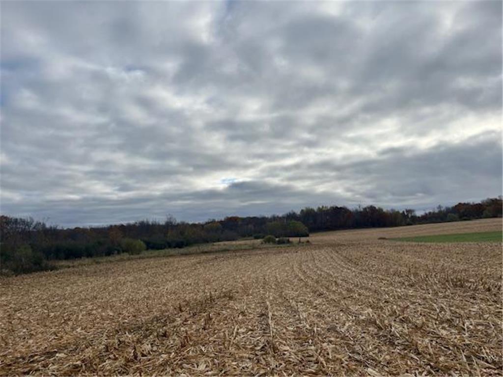 TBD (L2B1) Packard Street NE Stanchfield Twp MN 55080 6808418 image1