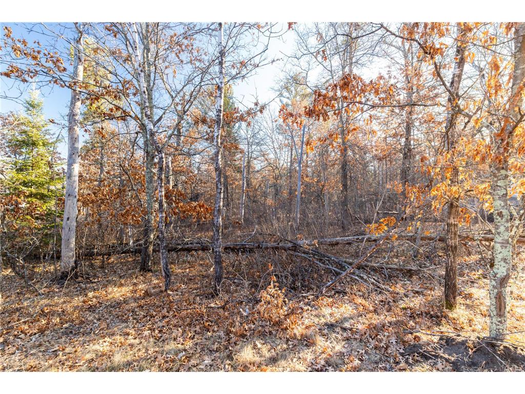 TBD (L3B3) Scenic River Drive Baxter MN 56425 6497895 image1