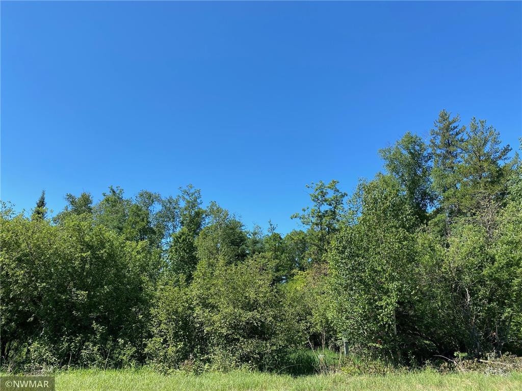 TBD (L9B2) Goldfinch Lane SW Bemidji MN 56601 5733998 image1