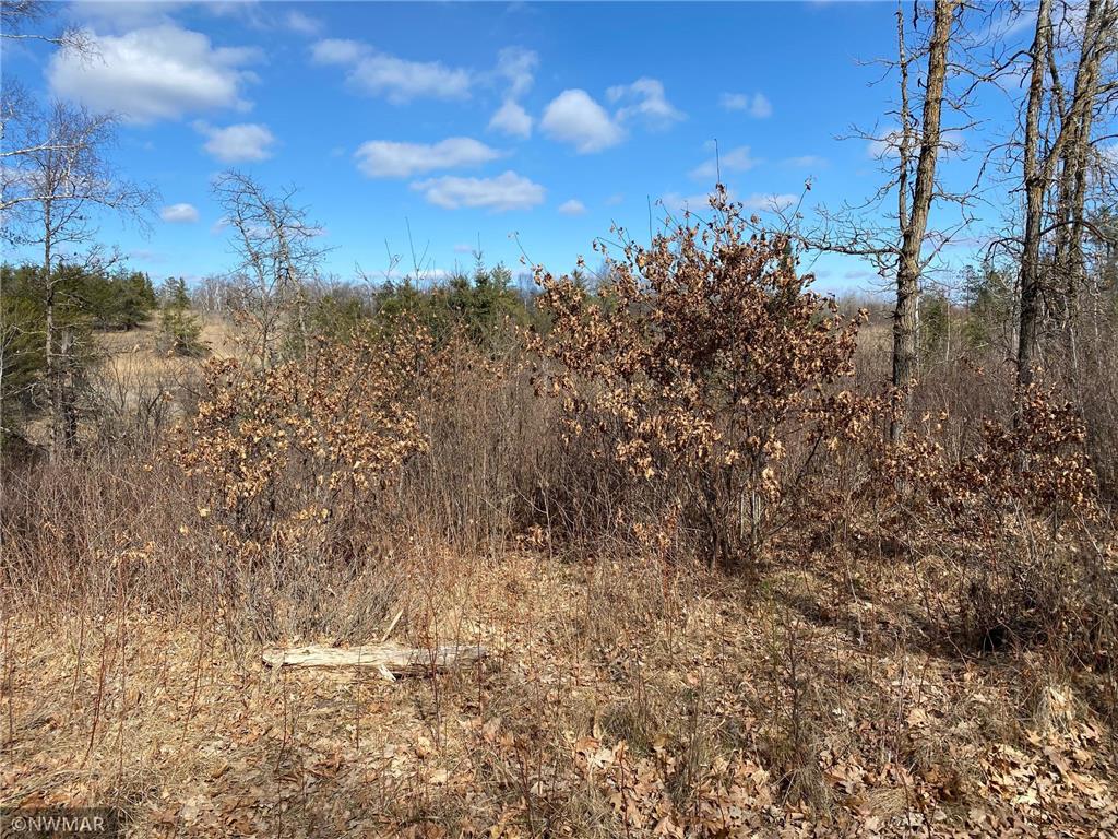 TBD (L9B2) Goldfinch Lane SW Bemidji MN 56601 5733998 image3