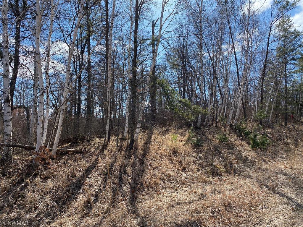 TBD (L9B2) Goldfinch Lane SW Bemidji MN 56601 5733998 image6