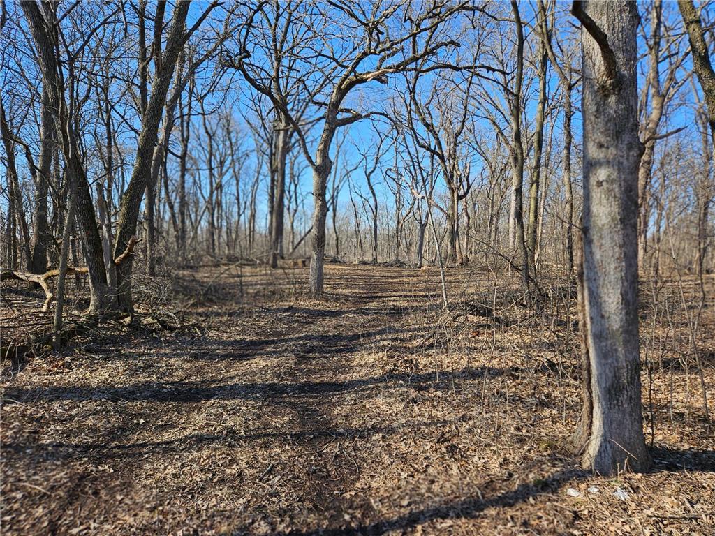 TBD LEMOND ROAD Ellendale MN 56026 6518525 image1