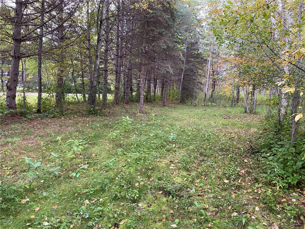 TBD LOT 13 Owl Avenue Nordland Twp MN 56431 7055972 image2
