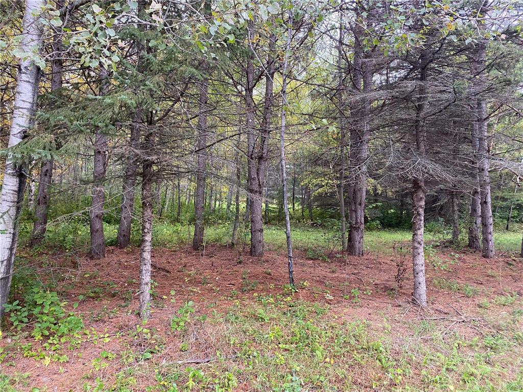 TBD LOT 13 Owl Avenue Nordland Twp MN 56431 7055972 image3