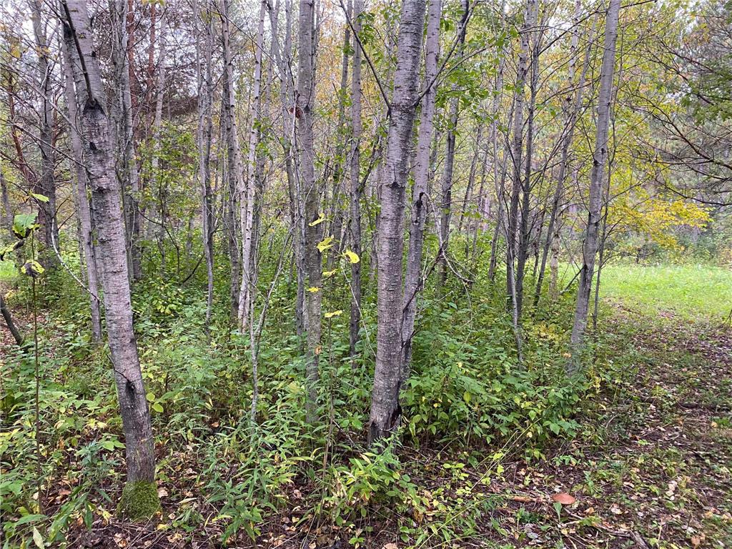 TBD LOT 13 Owl Avenue Nordland Twp MN 56431 7055972 image4