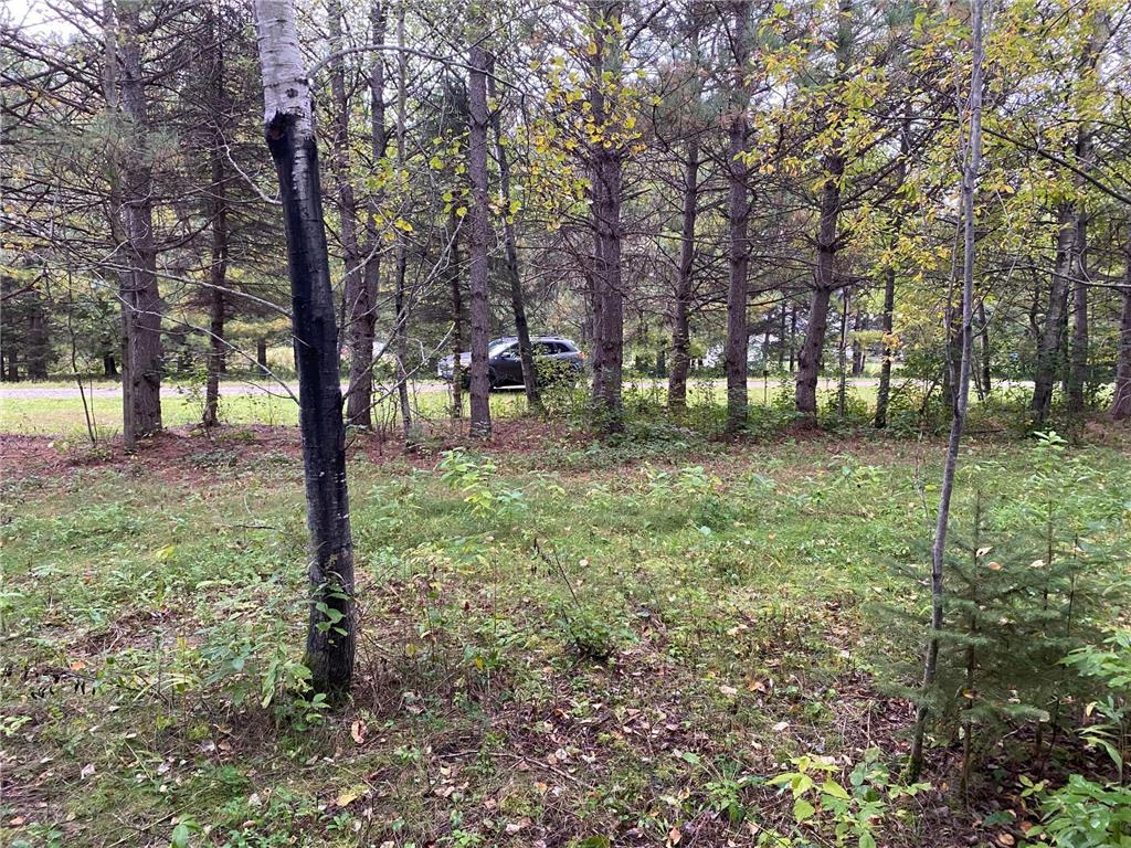 TBD LOT 13 Owl Avenue Nordland Twp MN 56431 7055972 image5