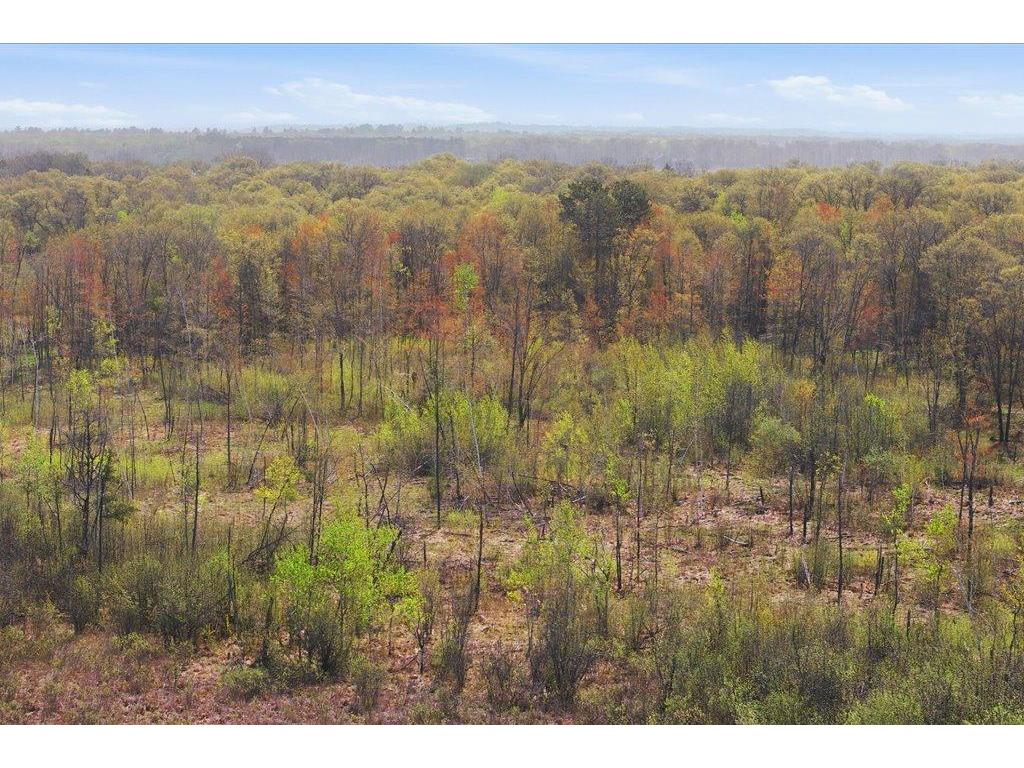 TBD LOT 3 County Rd 3 Lake Edward Twp MN 56468 - Edward 7074168 image19