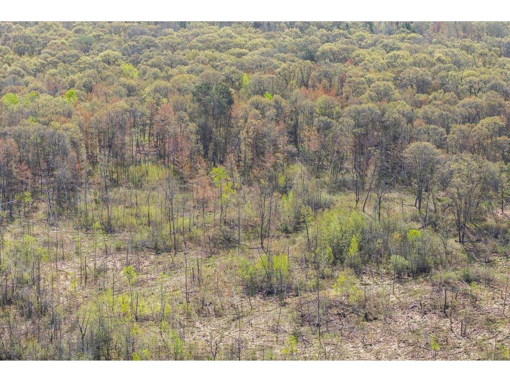 TBD LOT 3 County Rd 3 Lake Edward Twp MN 56468 - Edward 7074168 image7