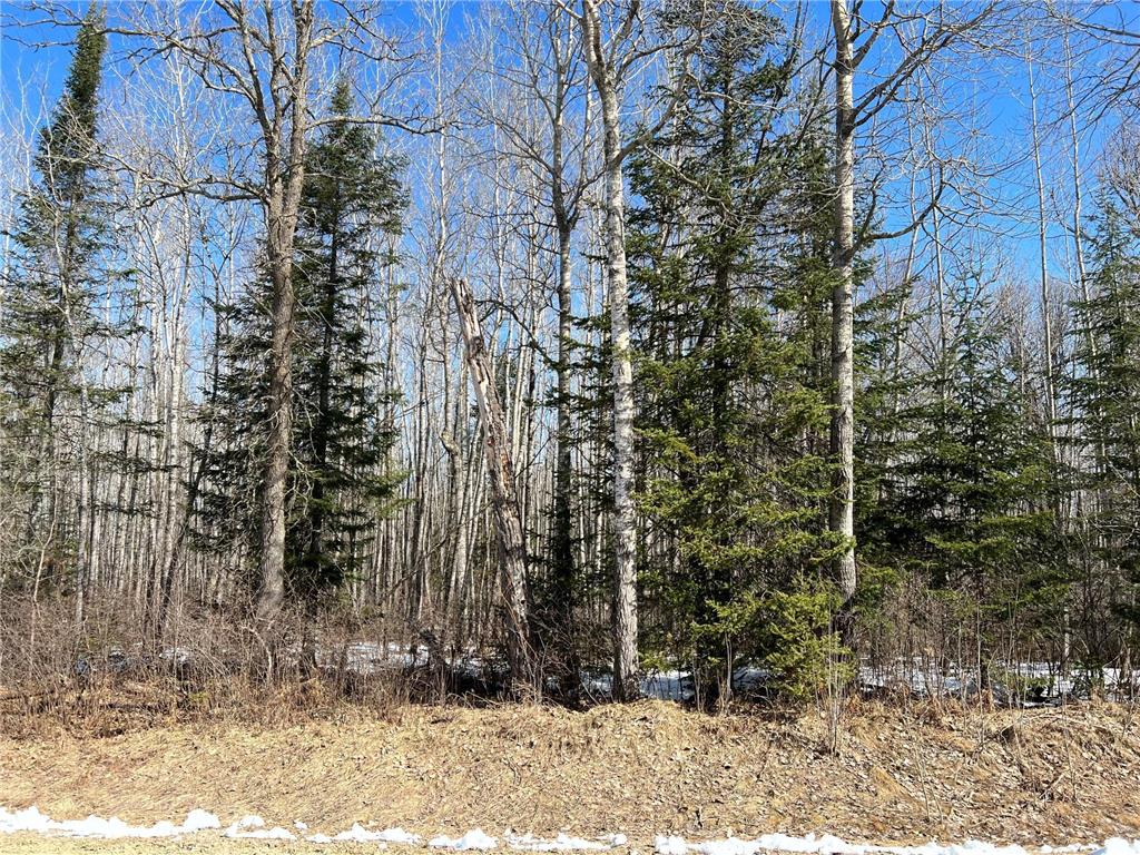 TBD LOT 4 BLK 1 River View Drive Harris Twp MN 55744 6359618 image1