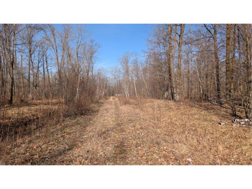 TBD Lacy Lane Pequot Lakes MN 56472 6709526 image1