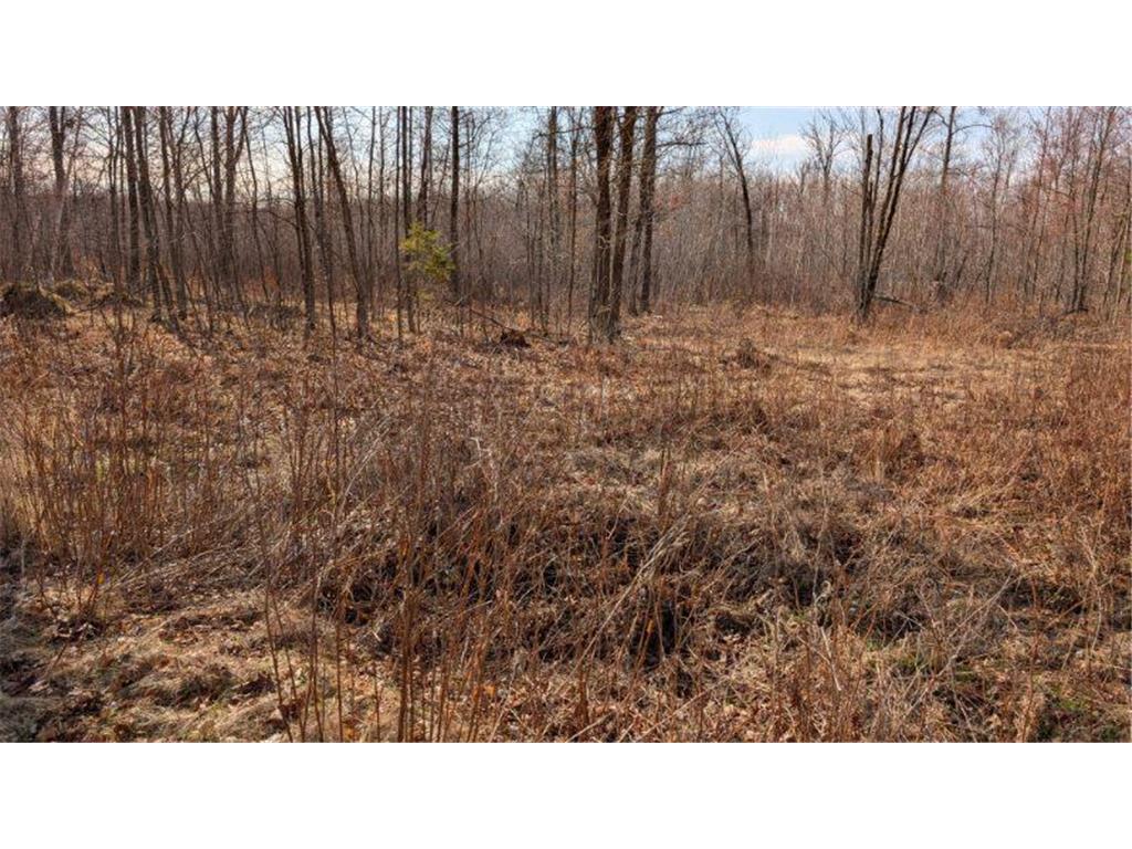 TBD Lacy Lane Pequot Lakes MN 56472 6709526 image3