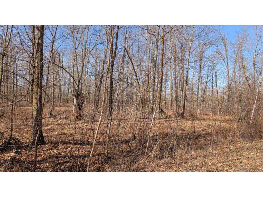 TBD Lacy Lane Pequot Lakes MN 56472 6709526 image4