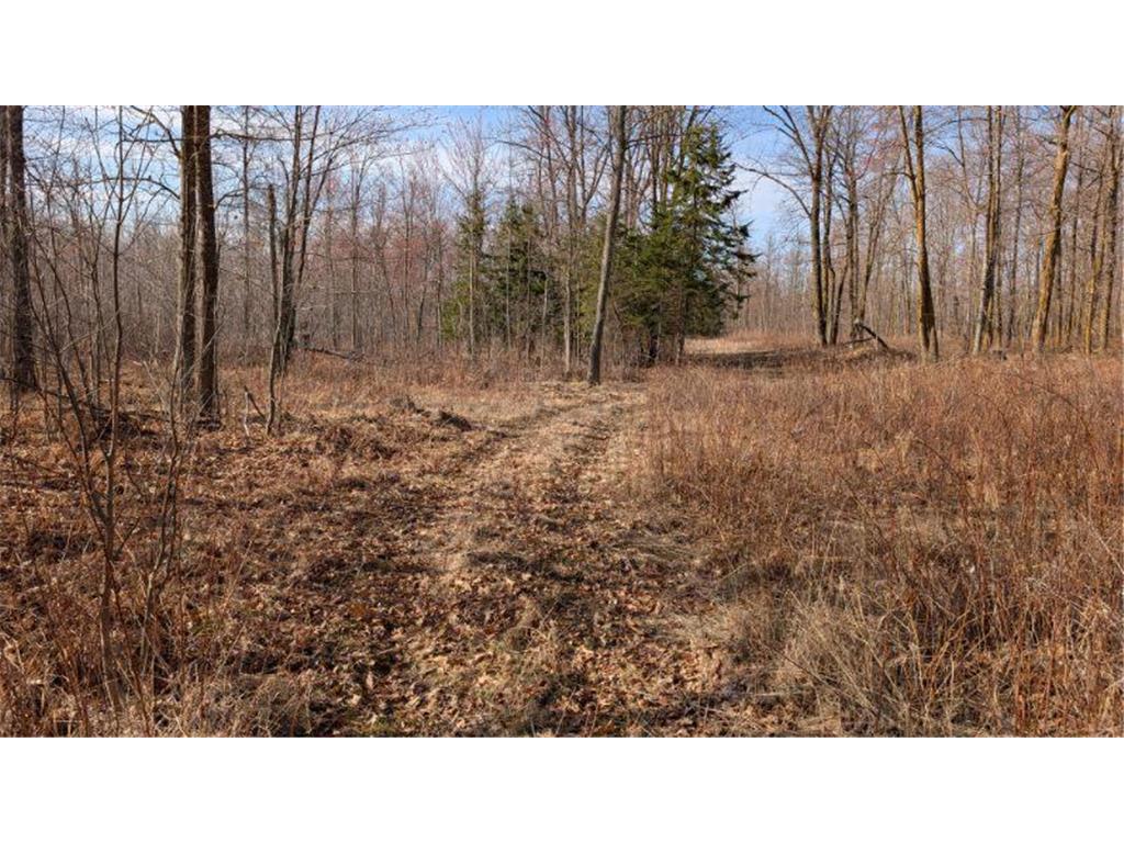 TBD Lacy Lane Pequot Lakes MN 56472 6709526 image5