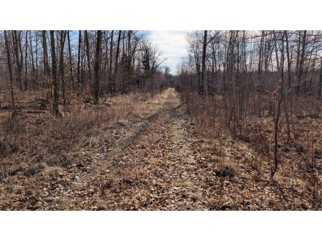 TBD Lacy Lane Pequot Lakes MN 56472 6709526 image6