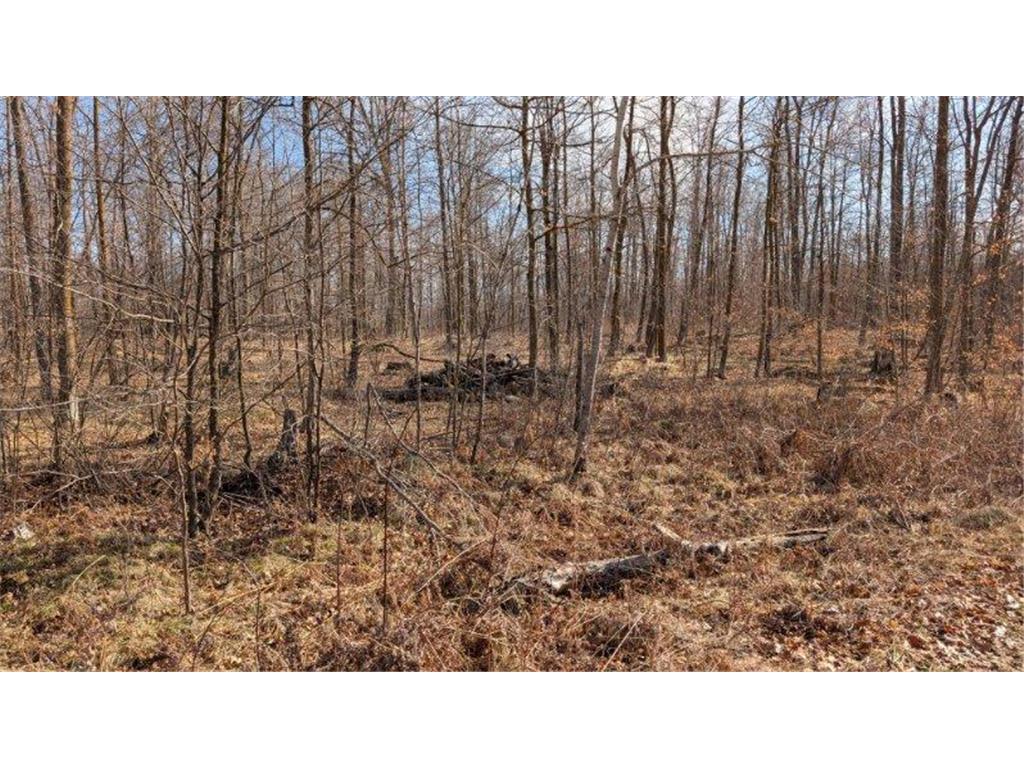 TBD Lacy Lane Pequot Lakes MN 56472 6709526 image7