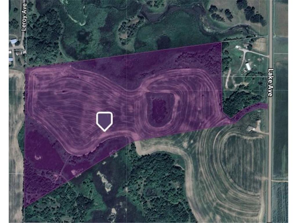 TBD Lake Avenue Shieldsville Twp MN 55021 7024325 image2