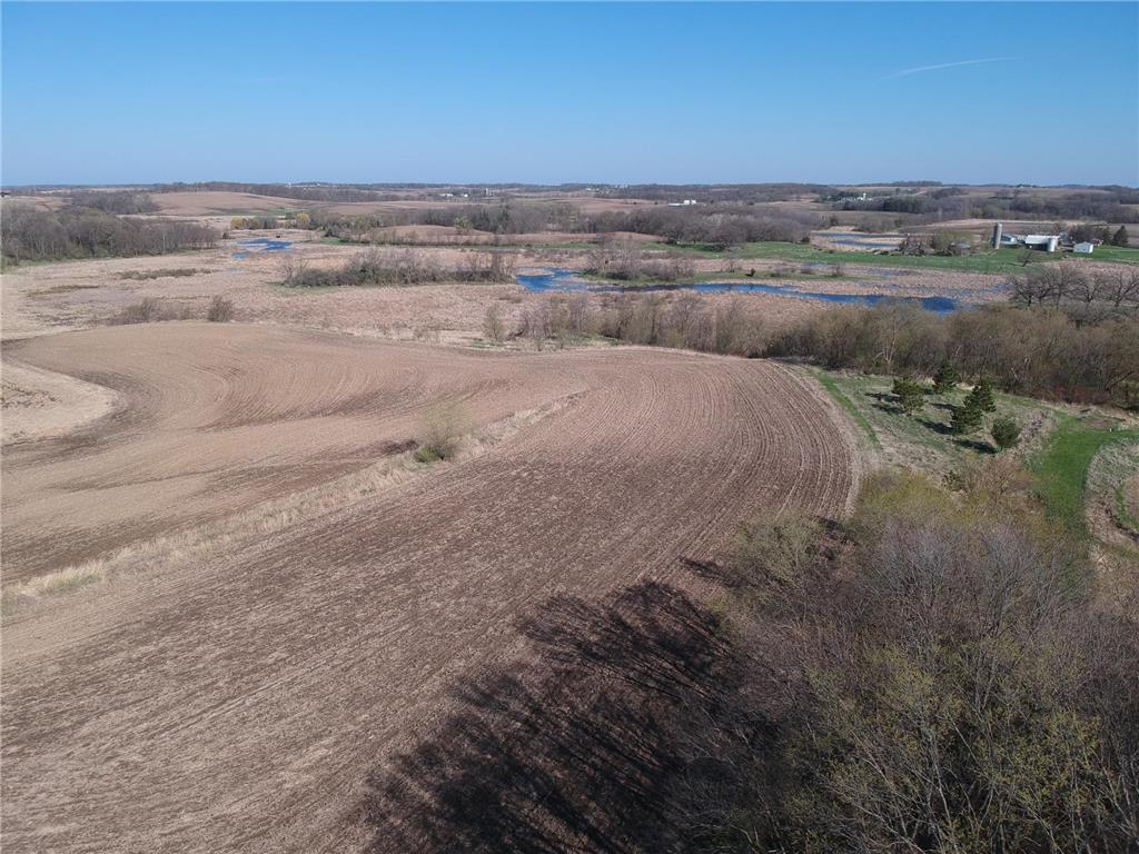 TBD Lake Avenue Shieldsville Twp MN 55021 7024325 image5