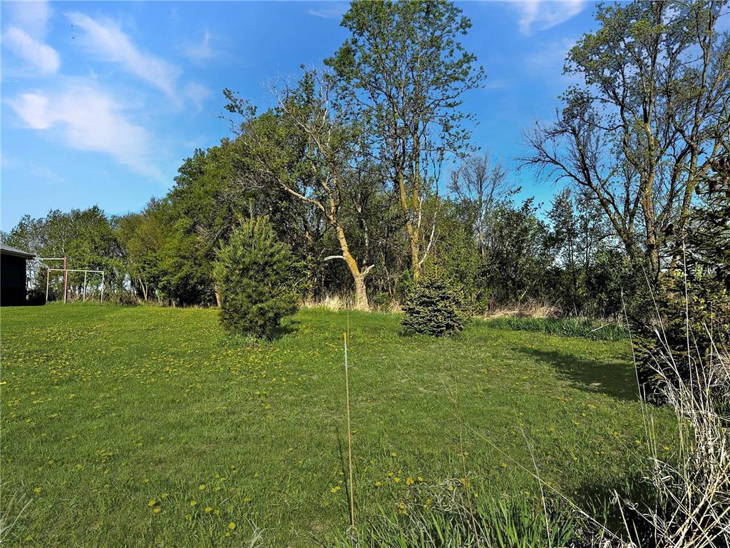 TBD Lake Avenue Shieldsville Twp MN 55021 7024325 image8