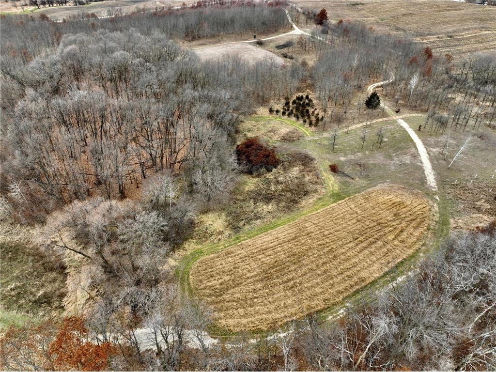 TBD Lake Avenue Shieldsville Twp MN 56052 6819479 image1