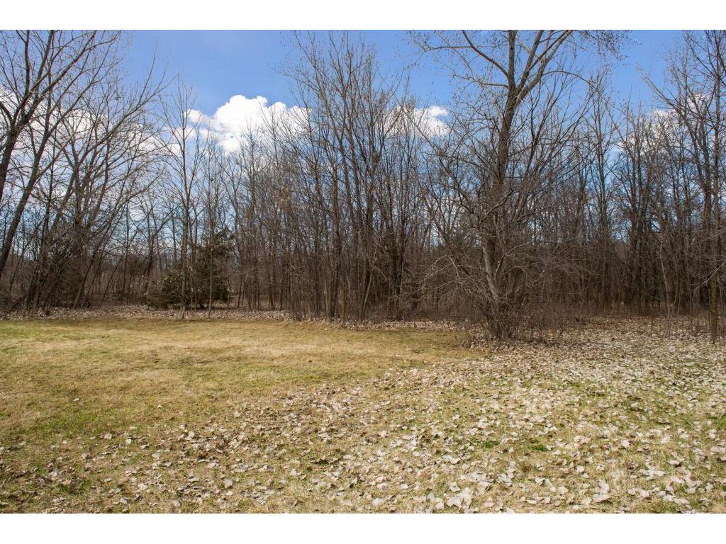 TBD Lake Blvd Buffalo MN 55313 - Buffalo 7016157 image25