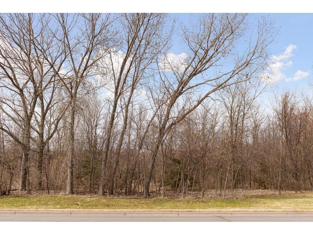 TBD Lake Blvd Buffalo MN 55313 - Buffalo 7016157 image26