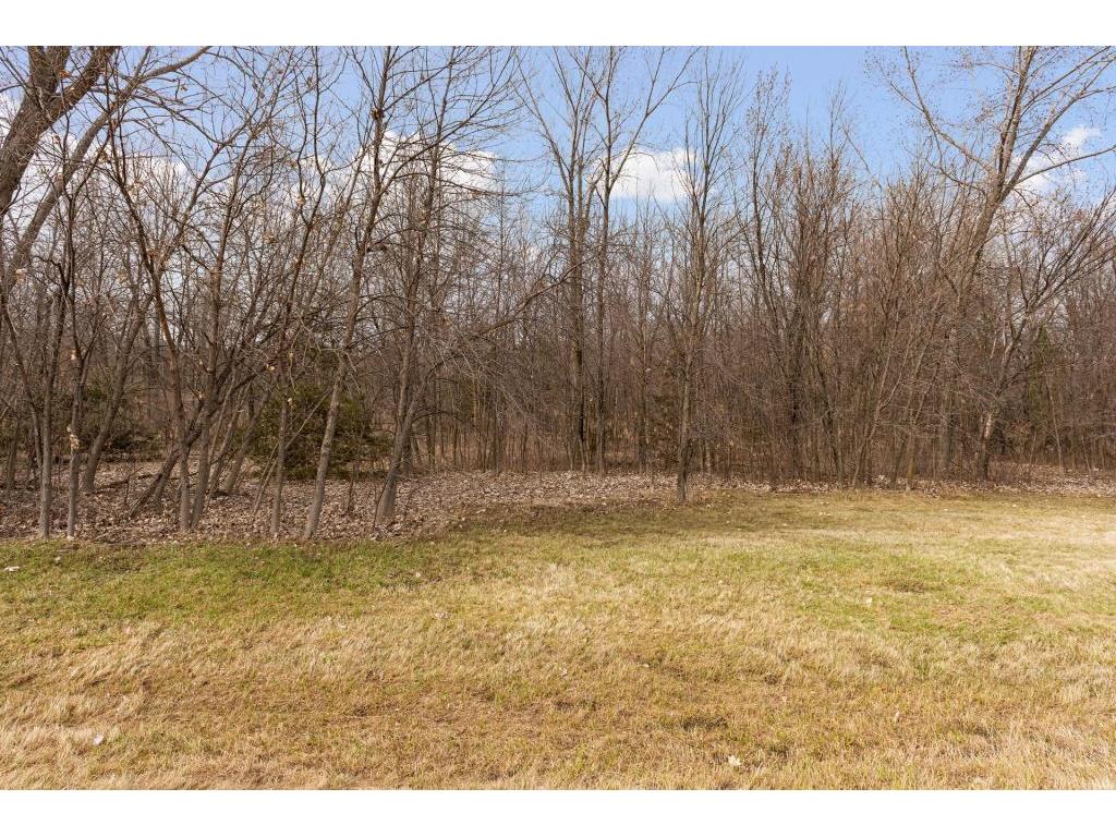 TBD Lake Blvd Buffalo MN 55313 - Buffalo 7016157 image27