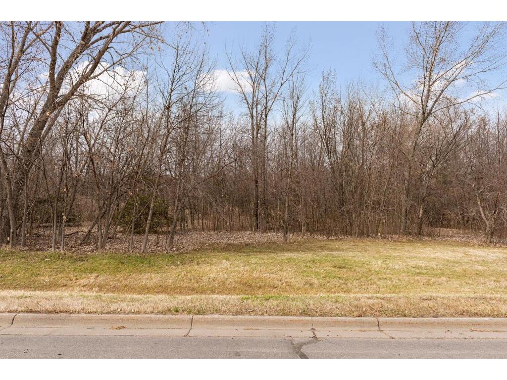 TBD Lake Blvd Buffalo MN 55313 - Buffalo 7016157 image28