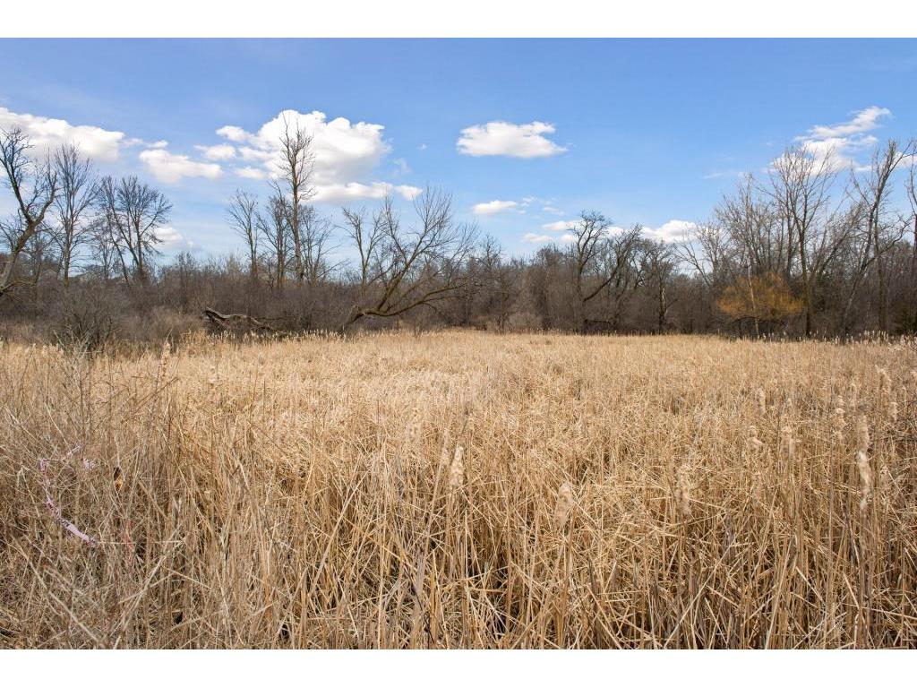 TBD Lake Blvd Buffalo MN 55313 - Buffalo 7016157 image29