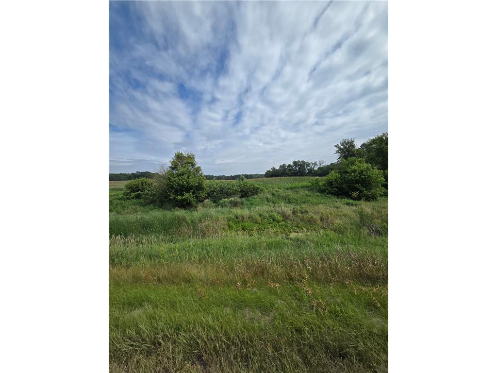 TBD Lake Blvd Shafer Twp MN 55074 6769665 image10