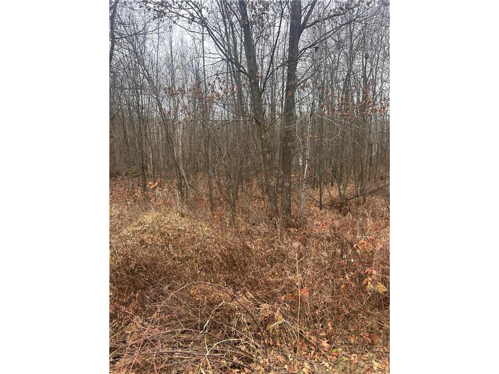 TBD Lake Camile Cushing Twp MN 56475 6819656 image1