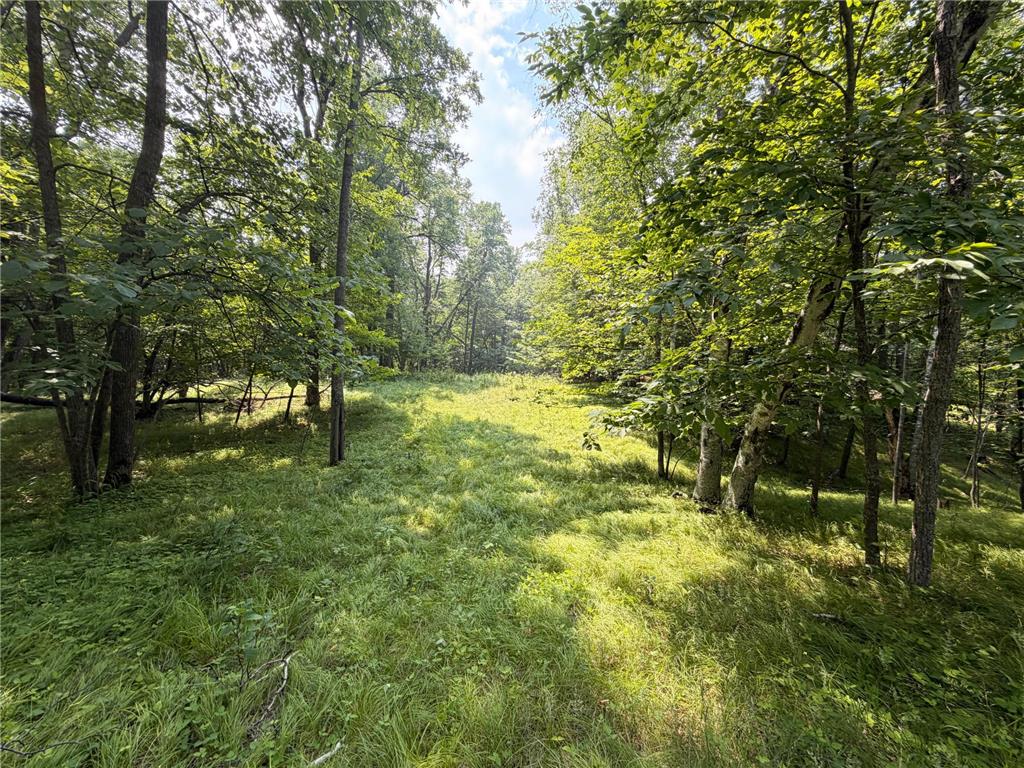 TBD Lake Douglas Way Breezy Point MN 56472 7102880 image14