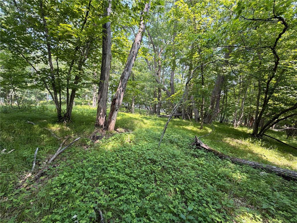 TBD Lake Douglas Way Breezy Point MN 56472 7102880 image15