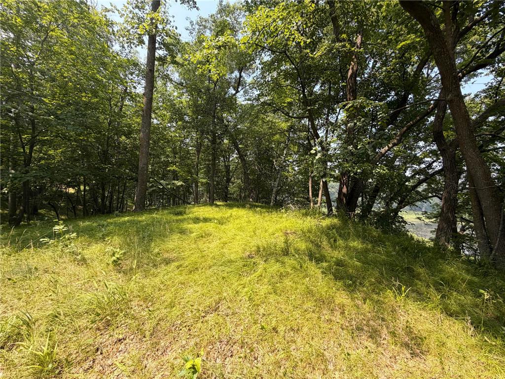 TBD Lake Douglas Way Breezy Point MN 56472 7102880 image2