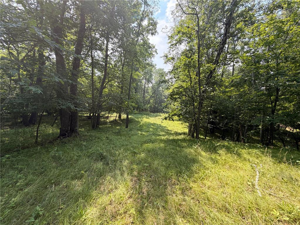 TBD Lake Douglas Way Breezy Point MN 56472 7102880 image8