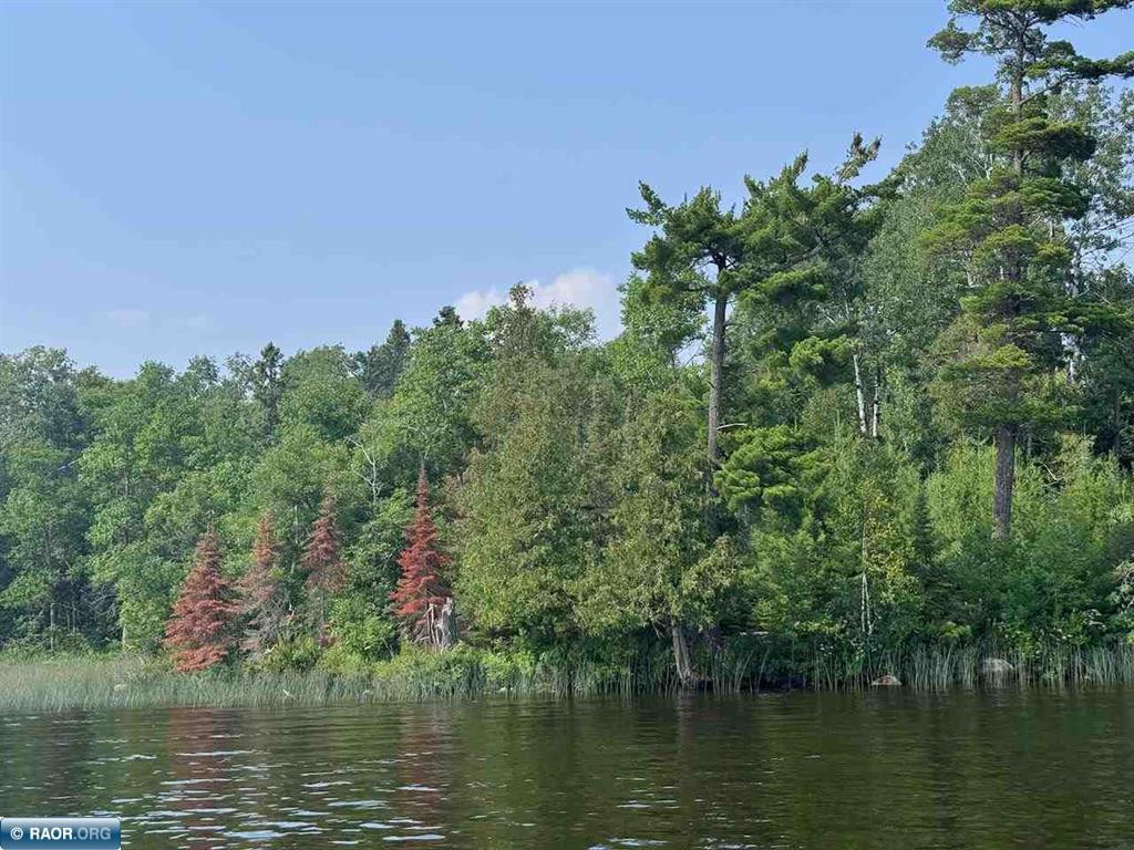 TBD Lake Vermilion N Tower MN 55790 - Vermilion 6758768 image2