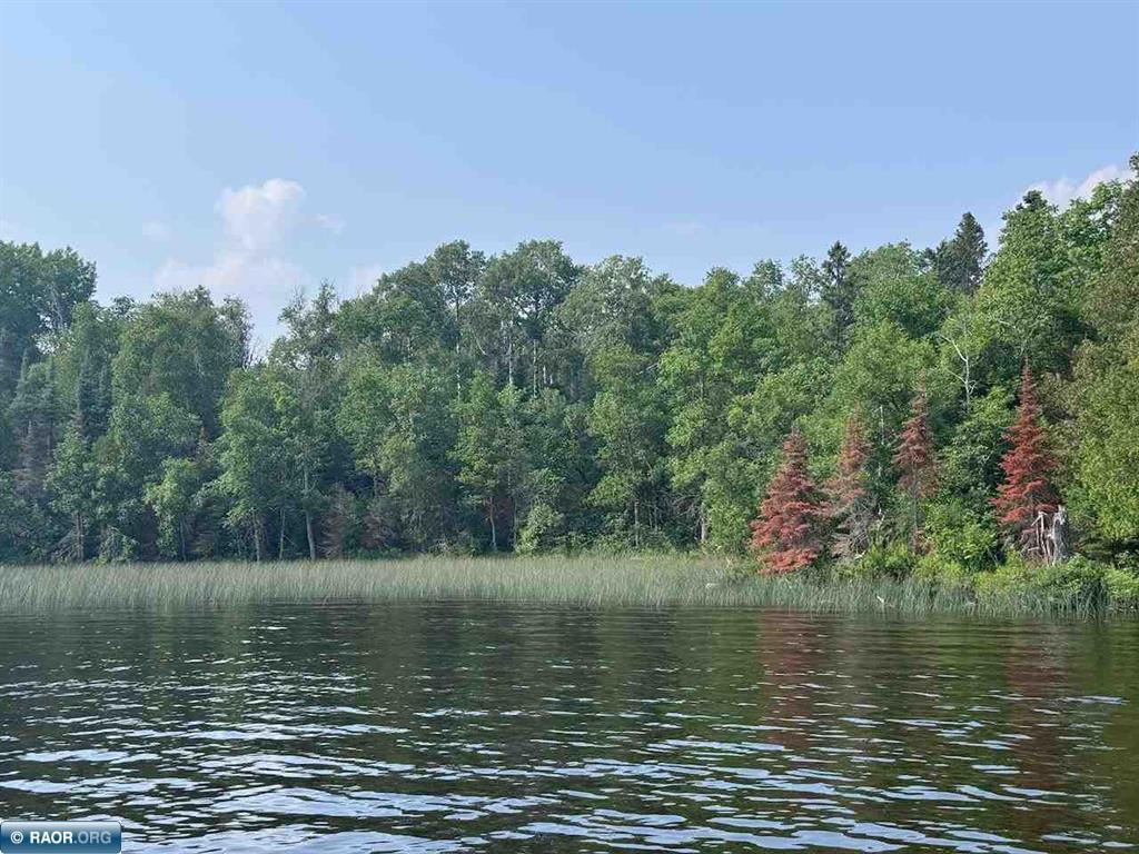 TBD Lake Vermilion N Tower MN 55790 - Vermilion 6758768 image3