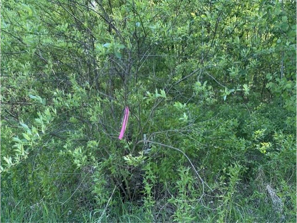 TBD Lakeshore Boulevard Wahkon MN 56386 7082705 image13