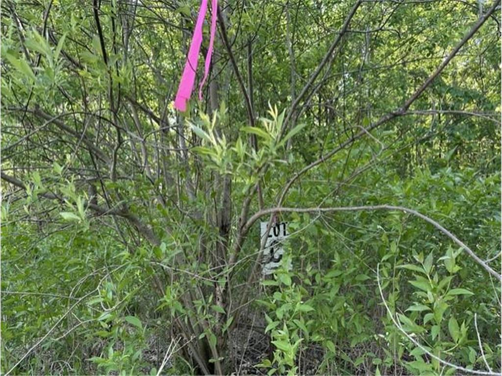 TBD Lakeshore Boulevard Wahkon MN 56386 7082705 image4