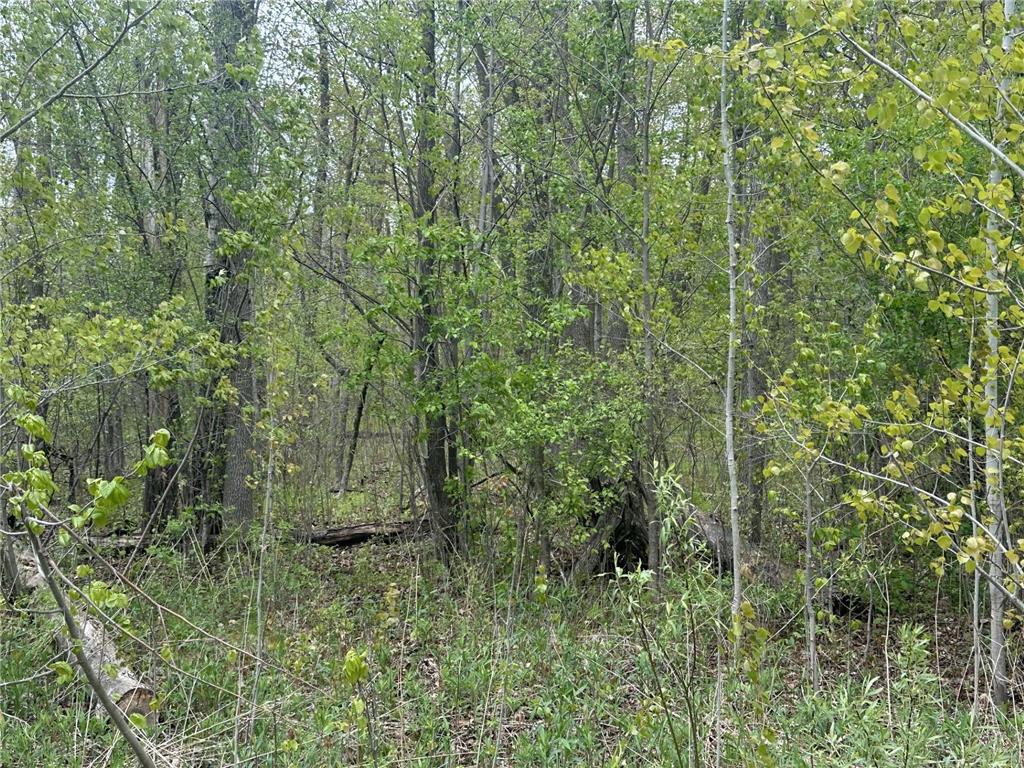 TBD Lakeshore Boulevard Wahkon MN 56386 7082705 image7
