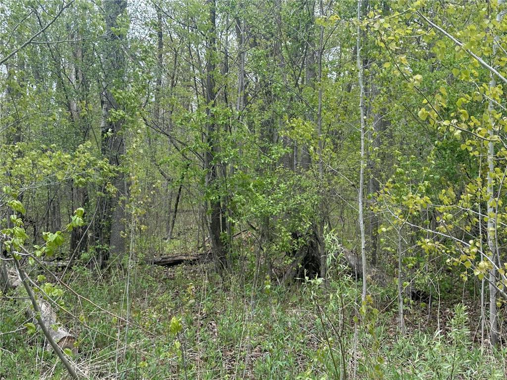 TBD Lakeshore Boulevard Wahkon MN 56386 7082705 image8