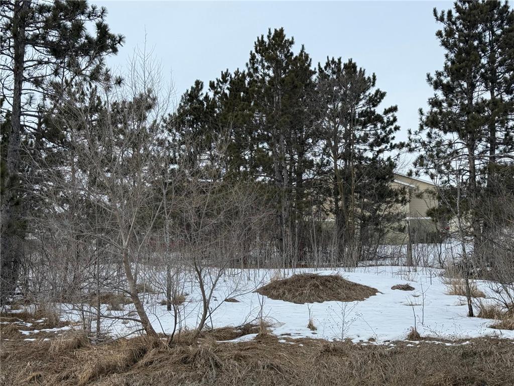TBD Lakeside Drive N Perham MN 56437 7030734 image10