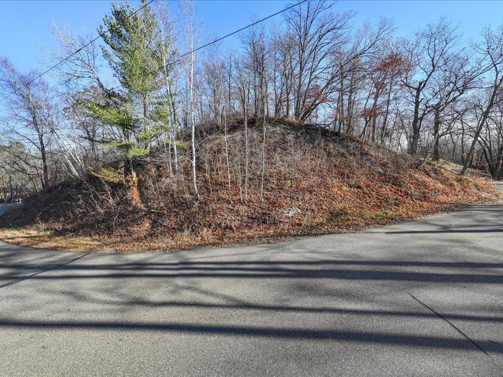 TBD Lakeview Drive Cushing MN 56443 - Alexander Lake 6821999 image10