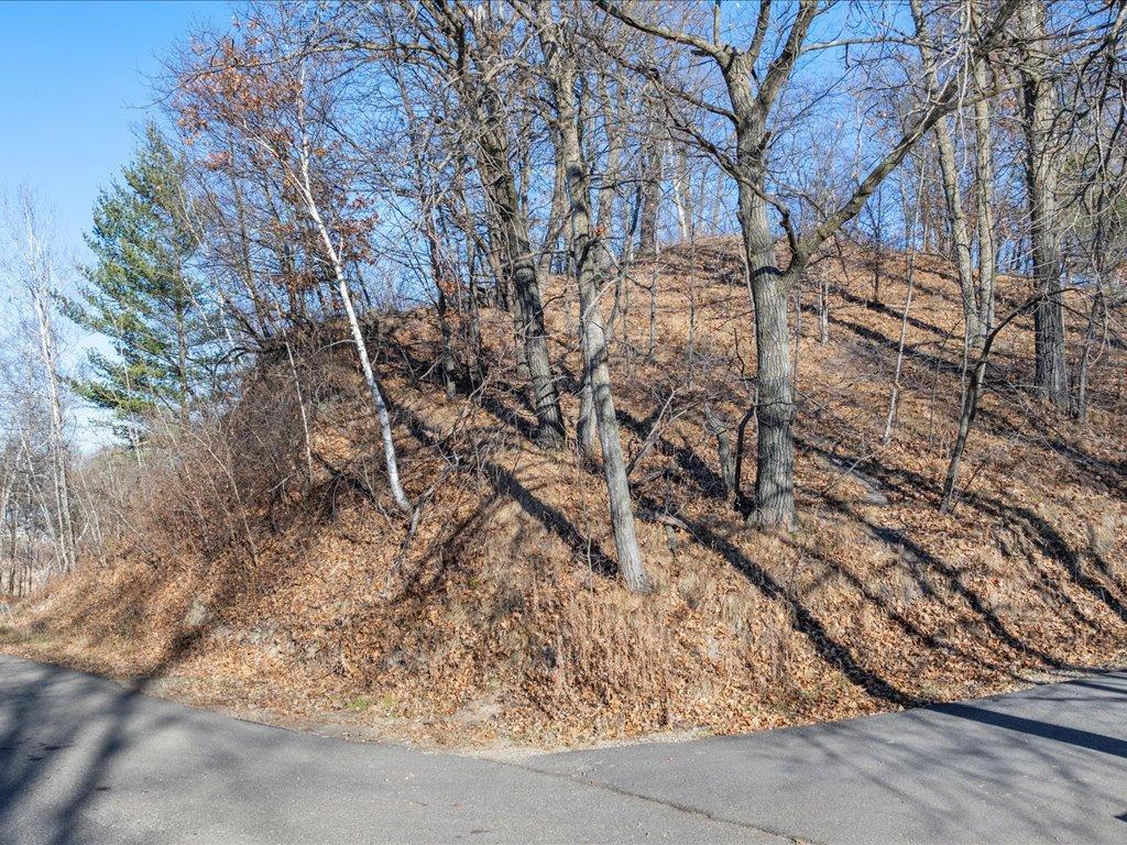 TBD Lakeview Drive Cushing MN 56443 - Alexander Lake 6821999 image12