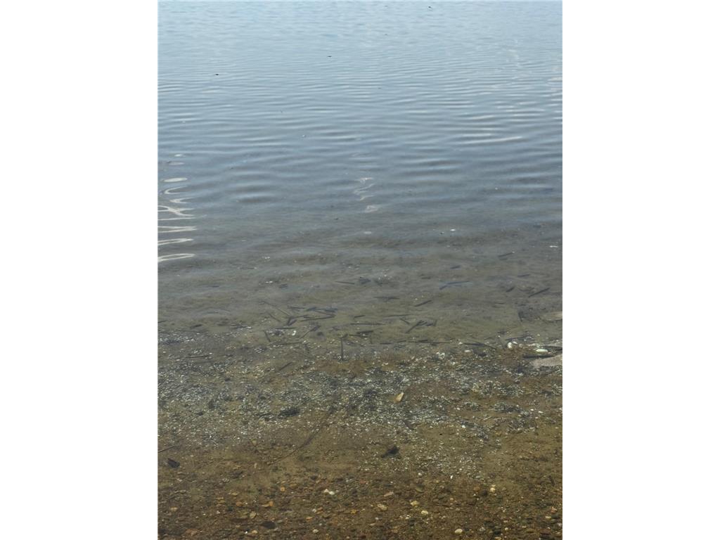 TBD Lakeview Lane Pelican Twp MN 56465 - Pelican 7045837 image2