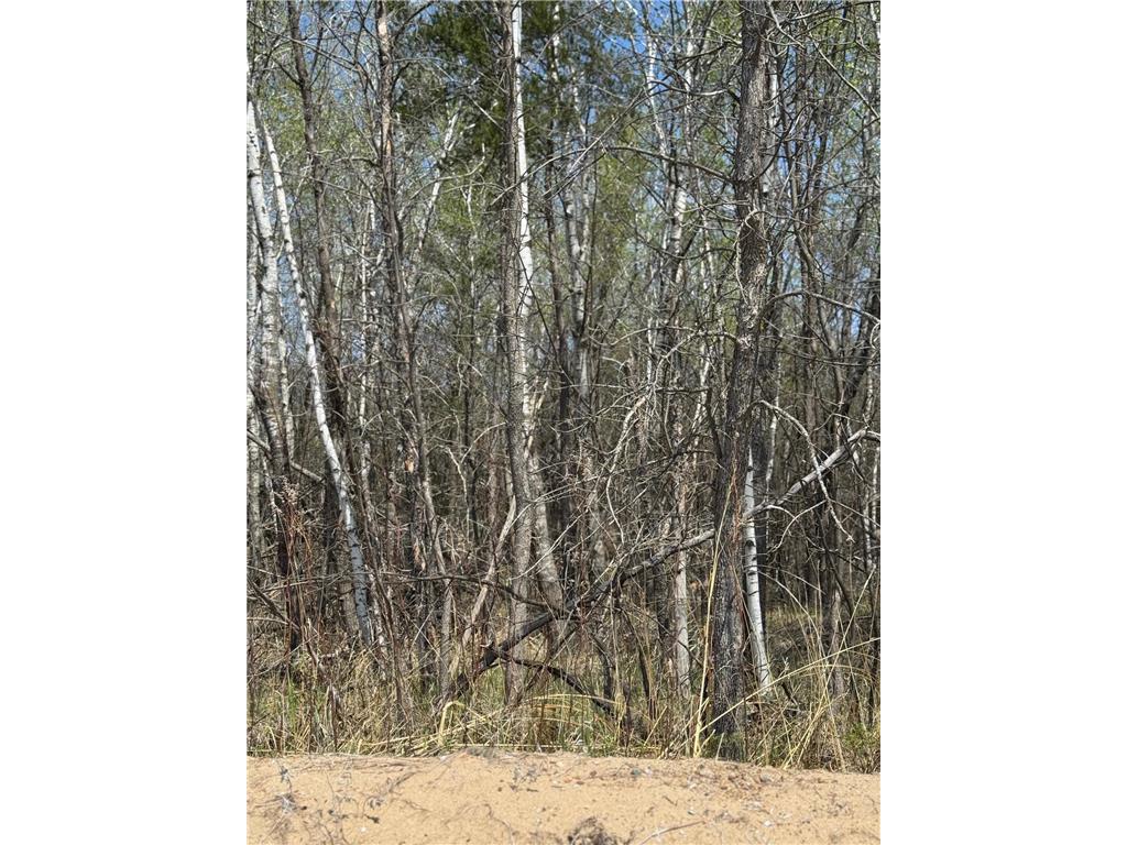 TBD Lakeview Lane Pelican Twp MN 56465 - Pelican 7045837 image3